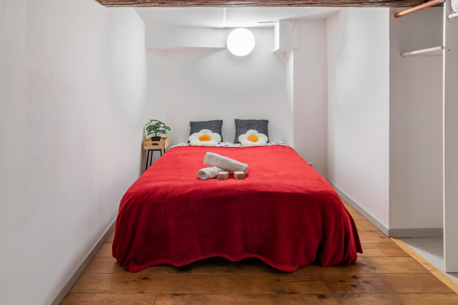 Appartement Le Theatre - Spacieux, Centre & Calme *